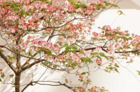 Hôtel Mistral - photo 17