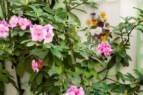 Hôtel Mistral - photo 9