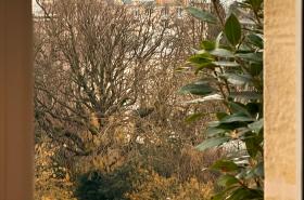 Best Western Plus Opéra Batignolles - photo 7