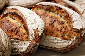 Le Basile Hôtel - photo 11