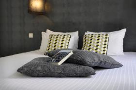 Hotel France Albion - photo 13