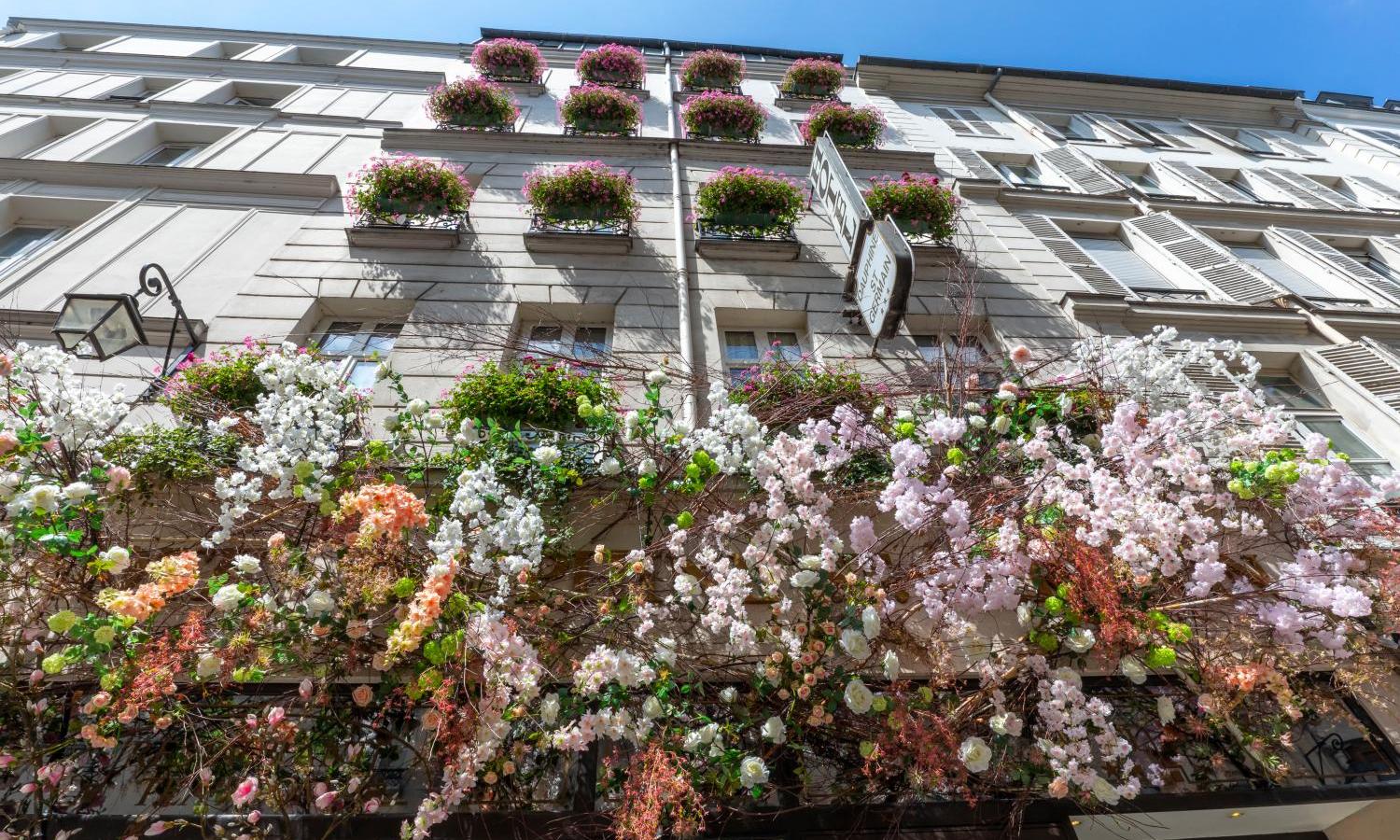 Photo of Dauphine Saint Germain