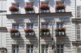 Dauphine Saint Germain - photo 6