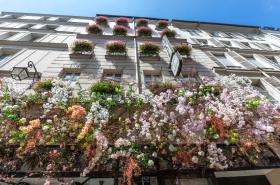 Dauphine Saint Germain - photo 7