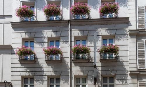 Dauphine Saint Germain - photo 3
