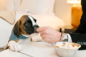 Sofitel Le Scribe Paris Opera - photo 21