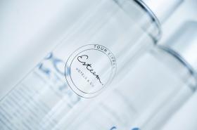 Esteem Tour Eiffel - photo 17