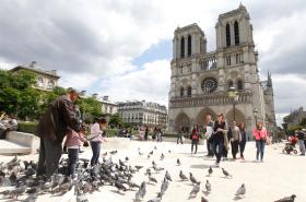 Hôtel des Deux Îles - photo 6