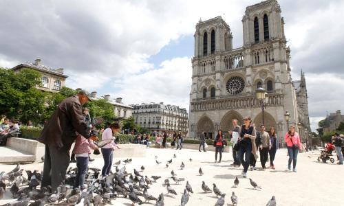 Hôtel des Deux Îles - photo 3
